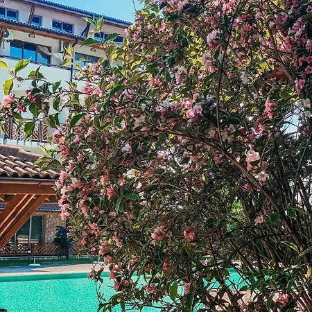 Mm Complex Dimitrovi 普里莫尔斯科